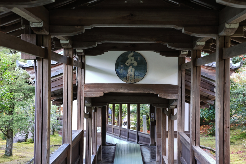 11月23日 京都 32