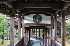 11月23日 京都 32