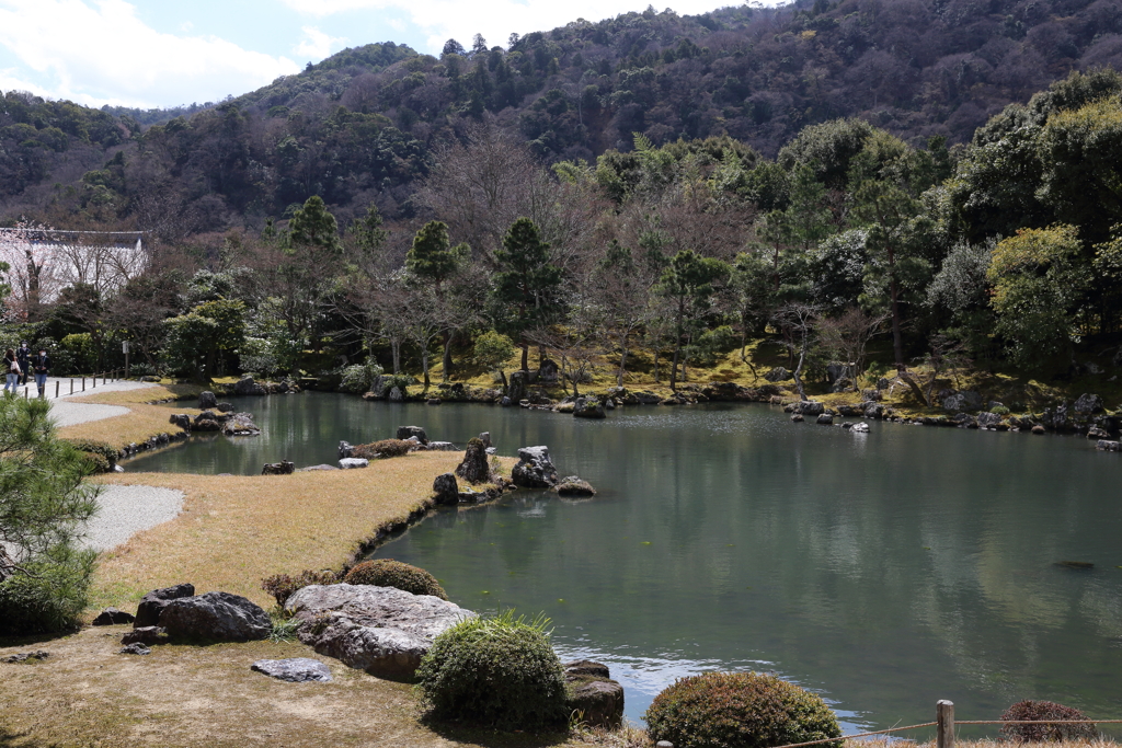 3月20日 京都嵐山 ７