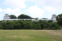 8月15日 明石公園 １