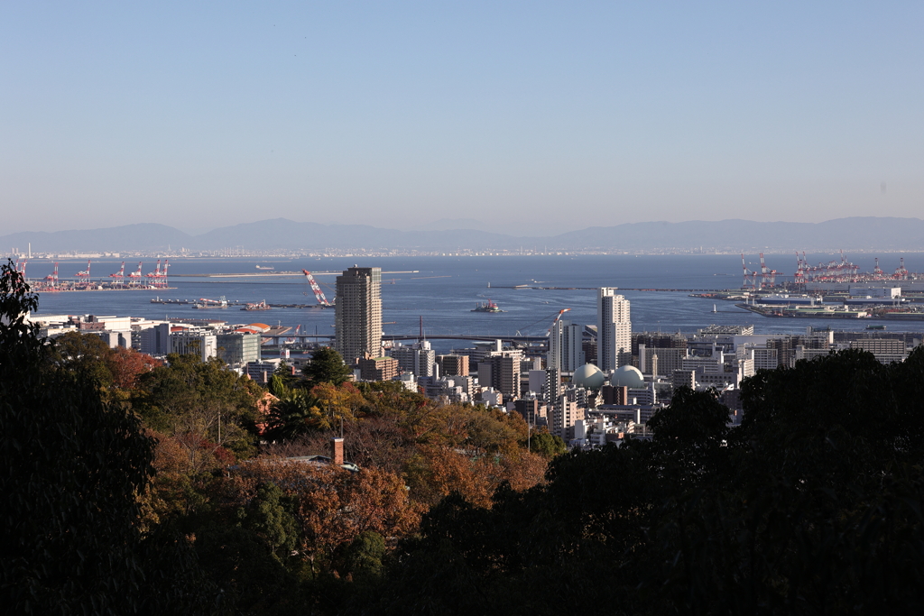 11月14日 布引の滝 12