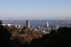 11月14日 布引の滝 12