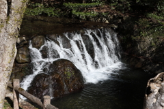 3月12日 箕面公園 15