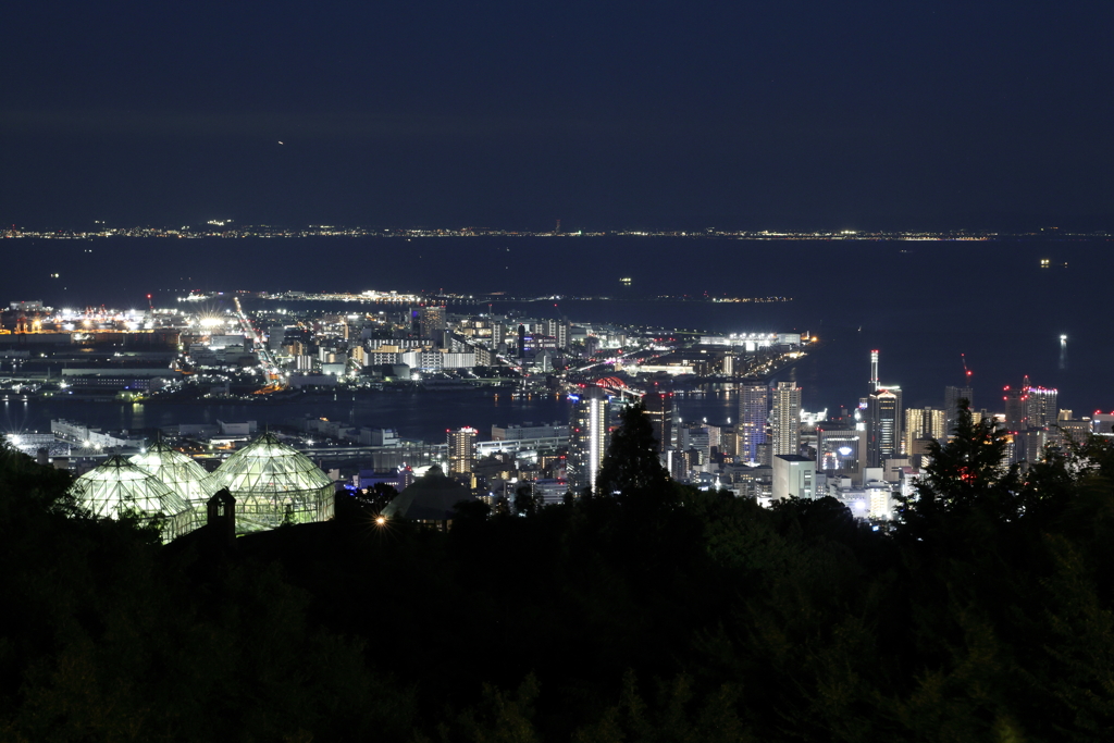 8月10日 布引ハーブ園 17