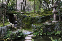 3月6日 相楽園 ８
