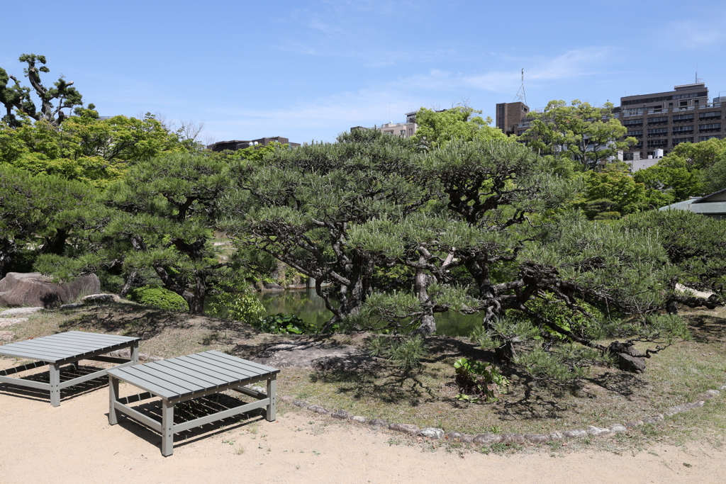 5月23日 相楽園 13