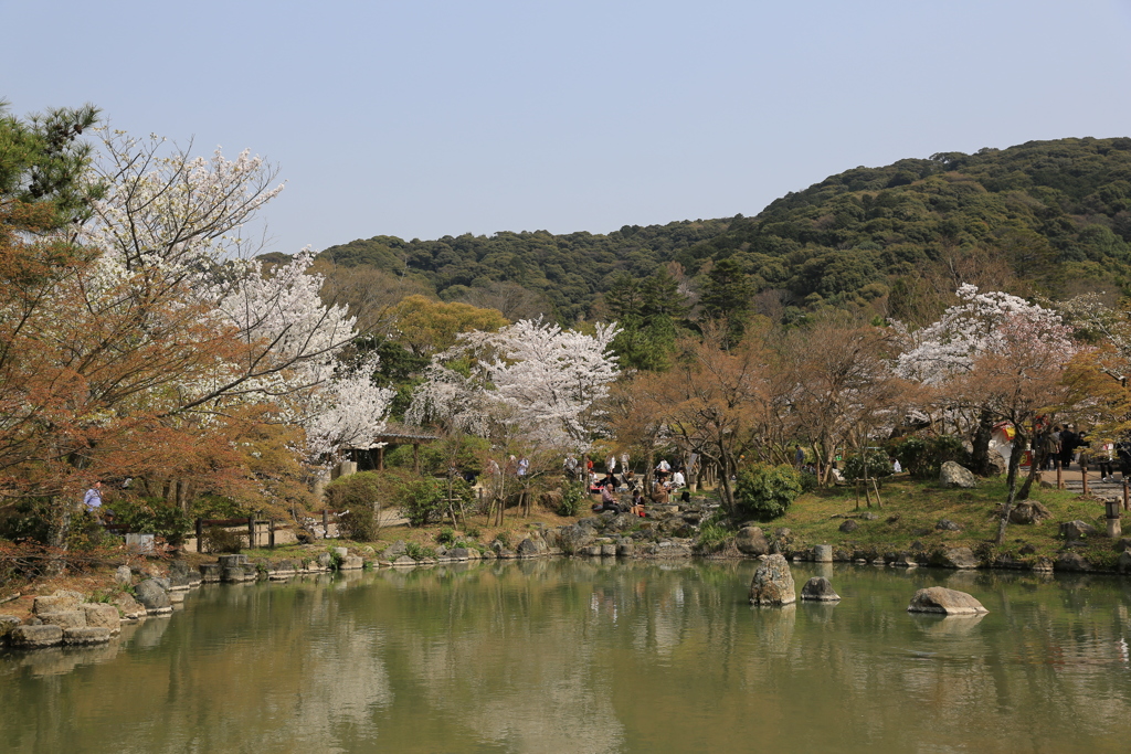 3月29日 京都 15