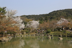 3月29日 京都 15 3月29日 京都 15