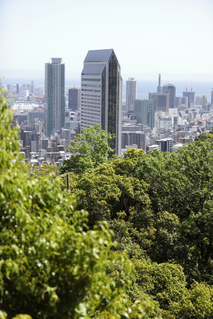 5月5日 布引ハーブ園 44