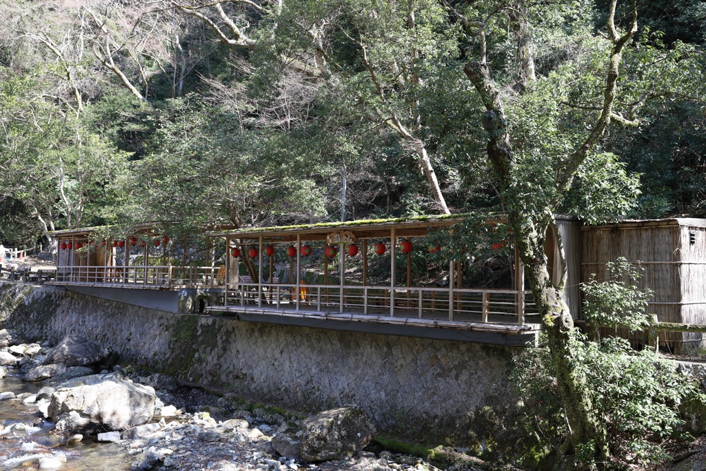 3月12日 箕面公園 ８