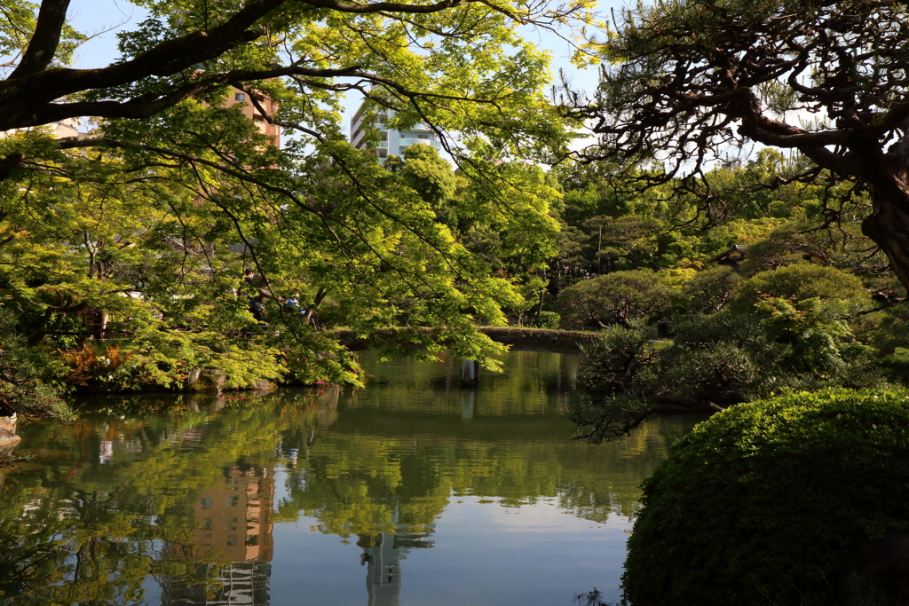 4月24日 相楽園 ７