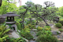 5月18日 相楽園 ４