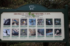 12月7日 布引ハーブ園 25