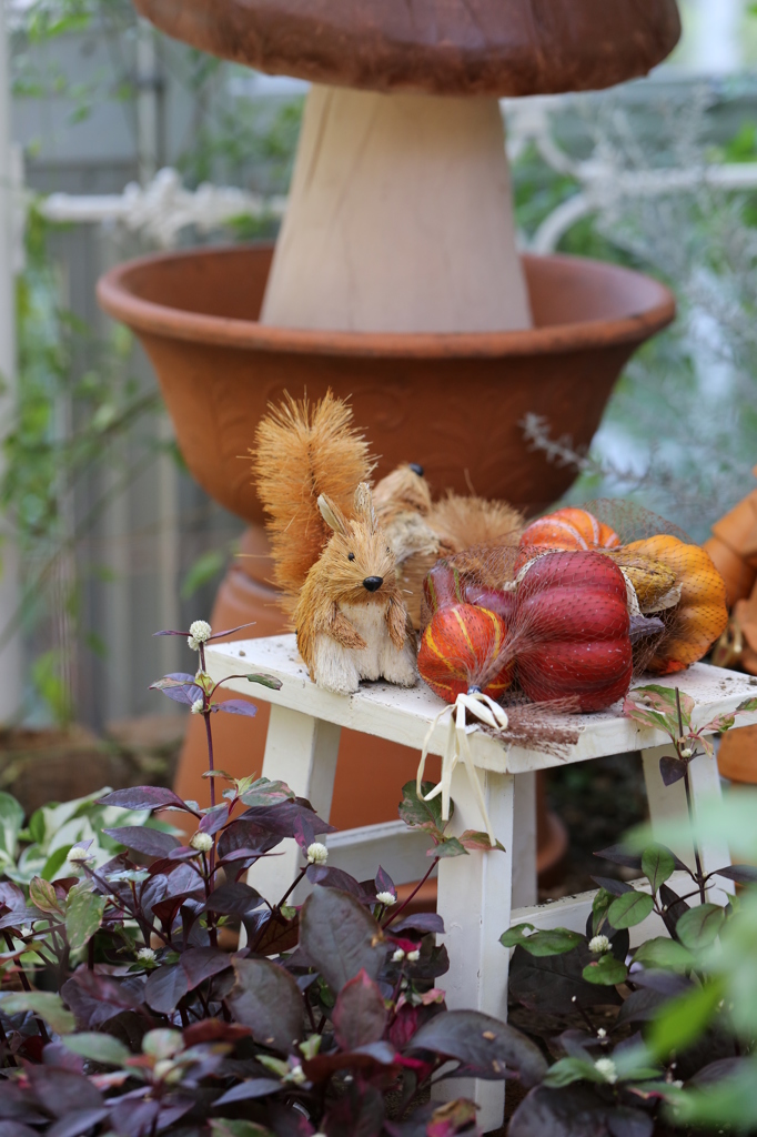 布引ハーブ園 ４