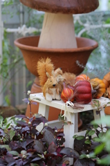 布引ハーブ園 4 布引ハーブ園 4