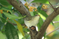 10月15日 明石公園 ７