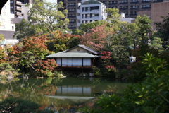 10月31日 相楽園 ８