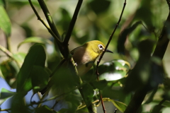 9月23日 明石公園 ５