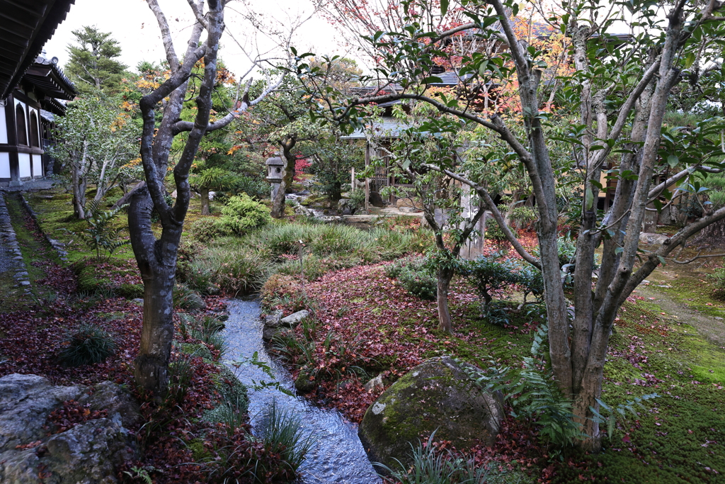 11月23日 京都 33