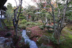 11月23日 京都 33