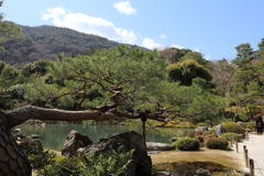 3月20日 京都嵐山 16