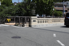 5月14日 長距離散歩 ６