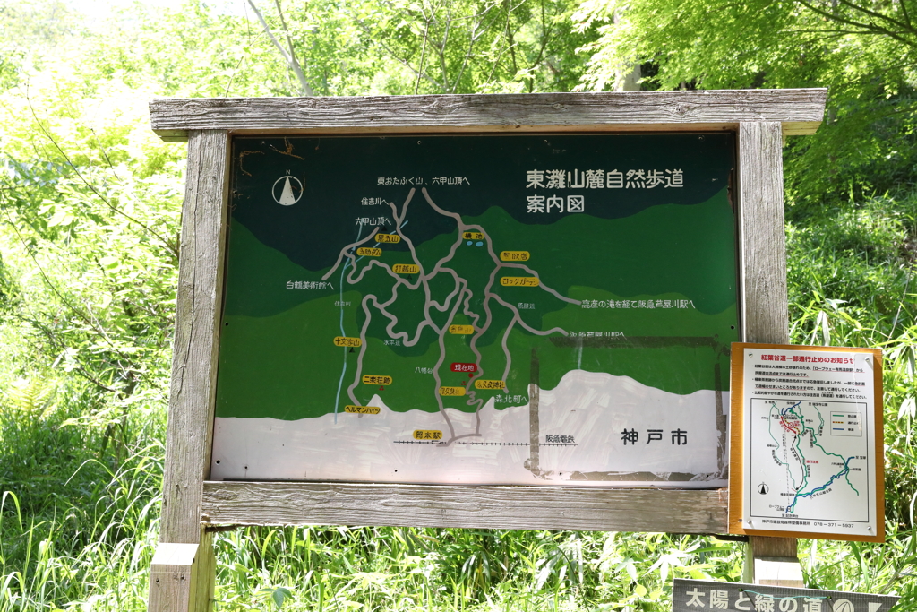 5月14日 長距離散歩 43