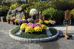 11月16日 相楽園 ９