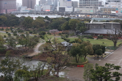 3月28日 明石公園 ６