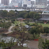 3月28日 明石公園 ６
