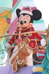 11月7日 東京ディズニー・ランド 10