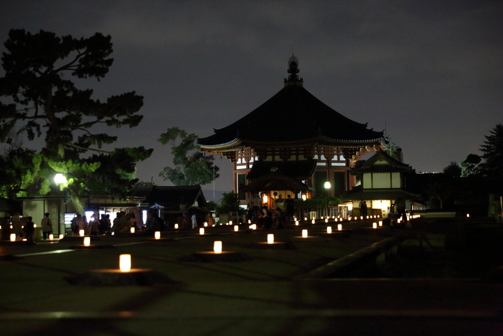 8月5日 なら燈花会 11