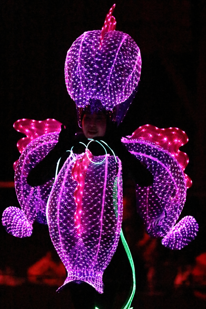 11月22日 東京ディズニーランド 77