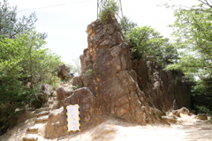 5月14日 長距離散歩 26