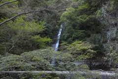 5月28日 布引の滝 22