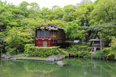 5月18日 相楽園 12