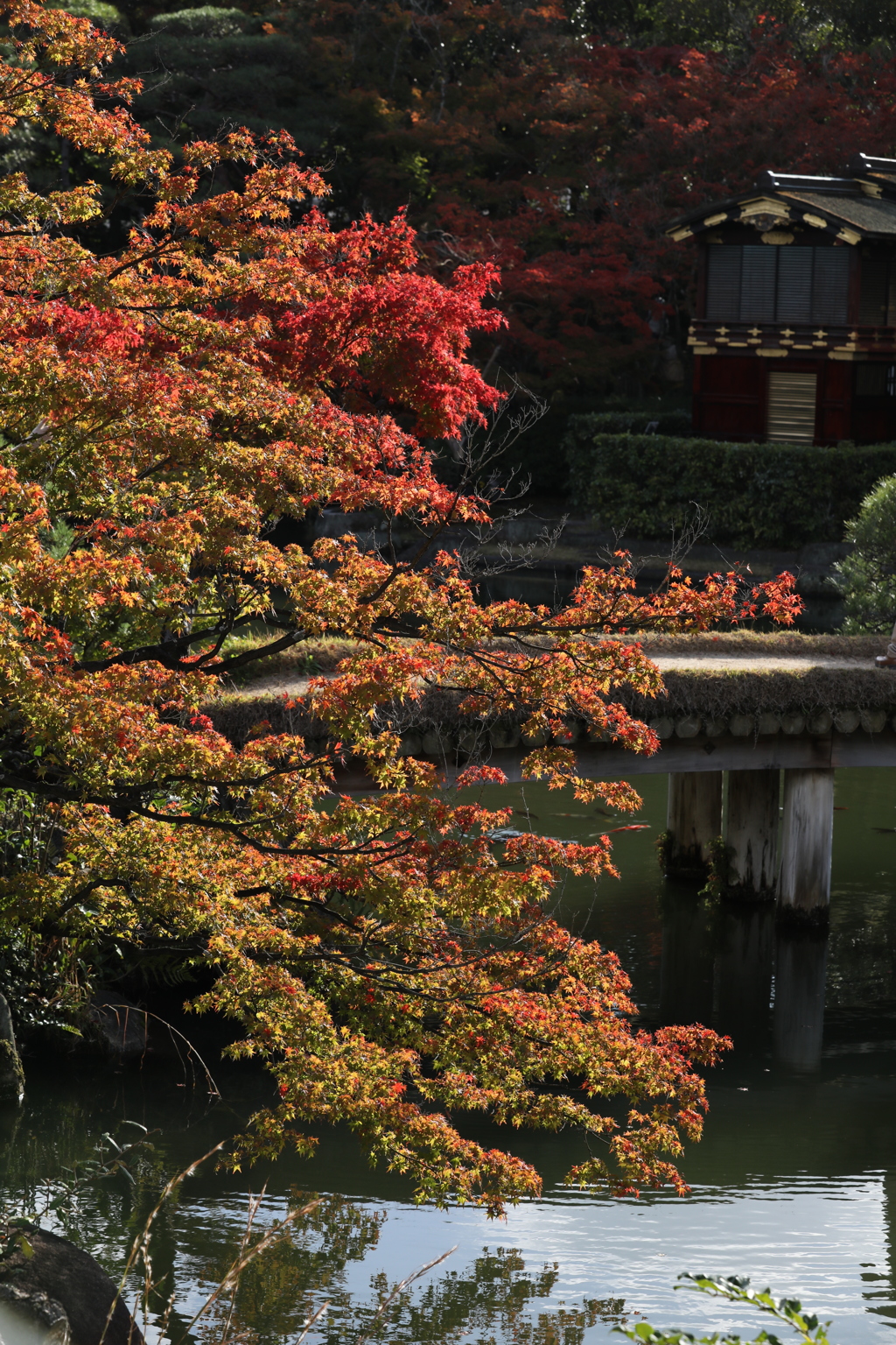 11月11日 相楽園 15