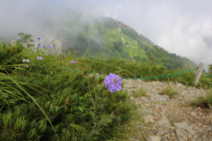 8月10日 松本 25