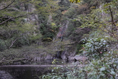 11月14日 布引の滝 15