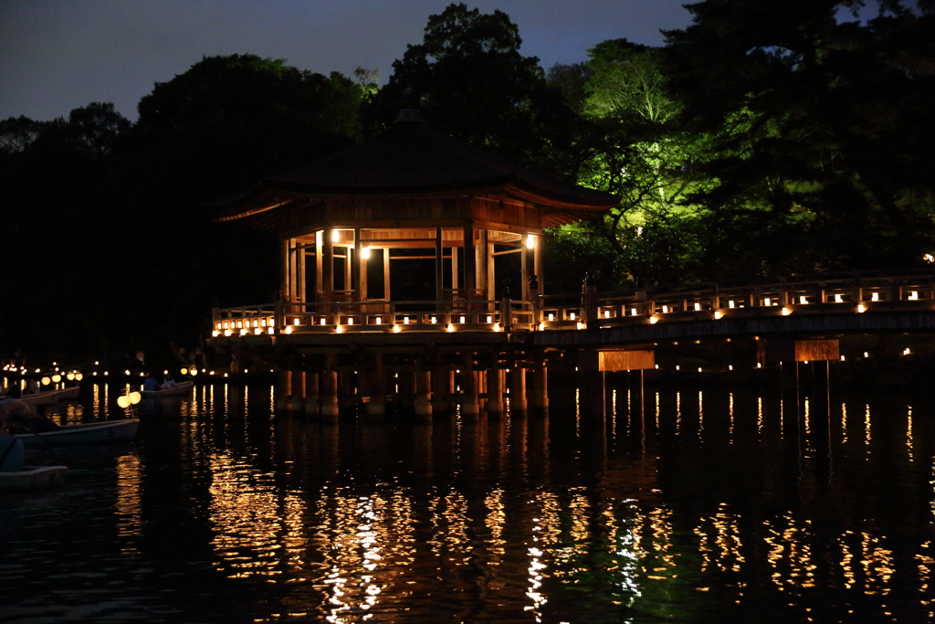 8月5日 なら燈花会 ４