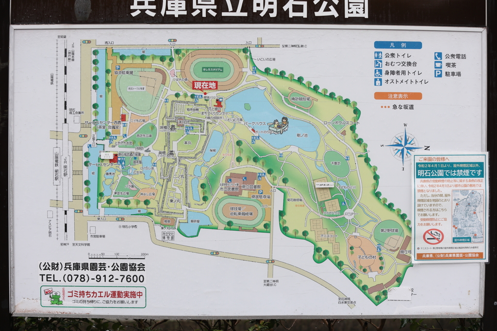 3月28日 明石公園　４