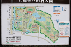 3月28日 明石公園　４