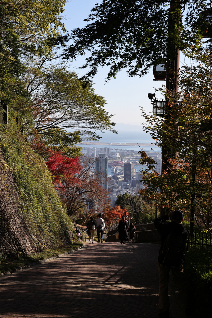 11月14日 布引ハーブ園 22