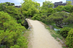 5月18日 相楽園 13