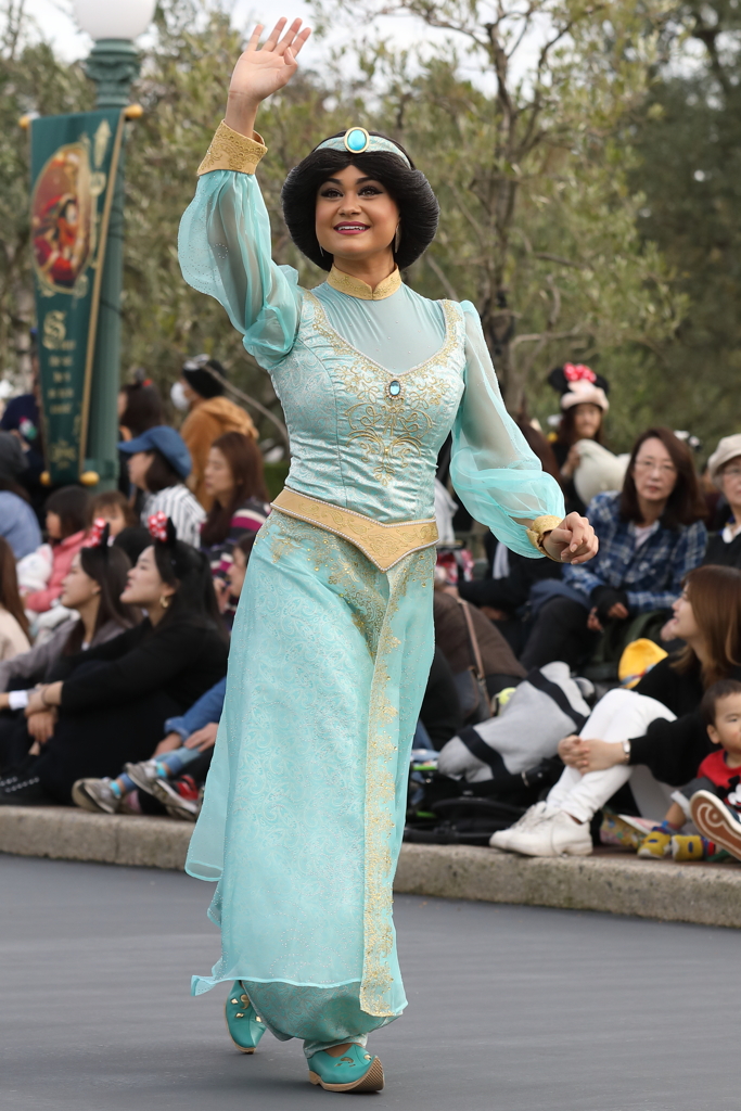 11月7日 東京ディズニー・ランド 35