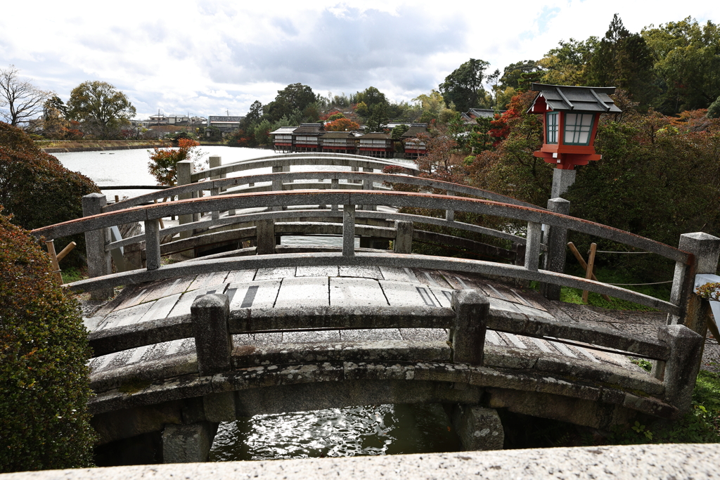 11月23日 京都 ８