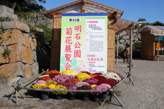 11月7日 明石公園 18