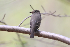 9月25日 明石公園 12