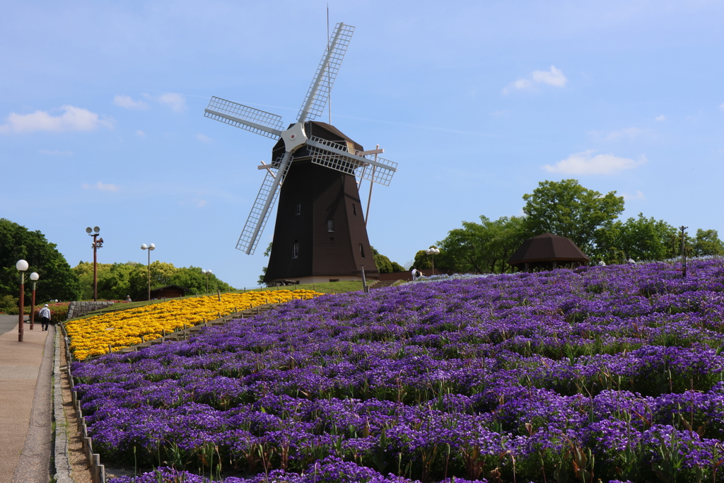 5月4日 鶴見緑地 ３