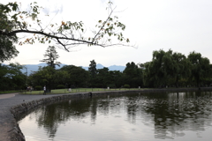 8月11日 松本 74